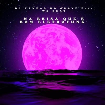 NA BRISA QUE E BOM ELETROFUNK (DJ WS BEAT Remix) By DJ XANDAO DO GRAVE, DJ WS BEAT's cover
