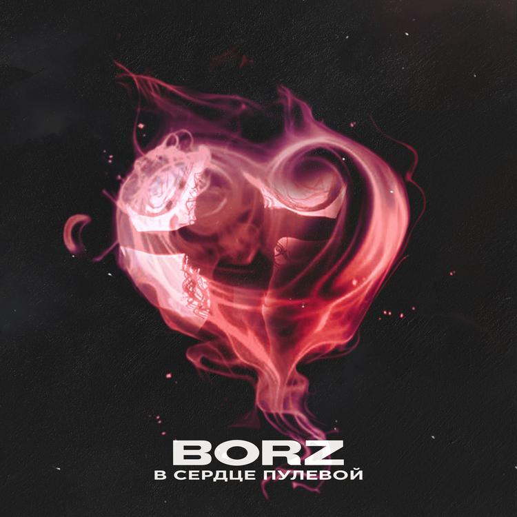 Borz's avatar image