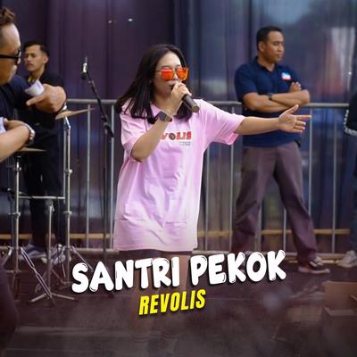 Santri Pekok's cover