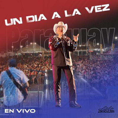 Un Dia a La Vez (En Vivo)'s cover