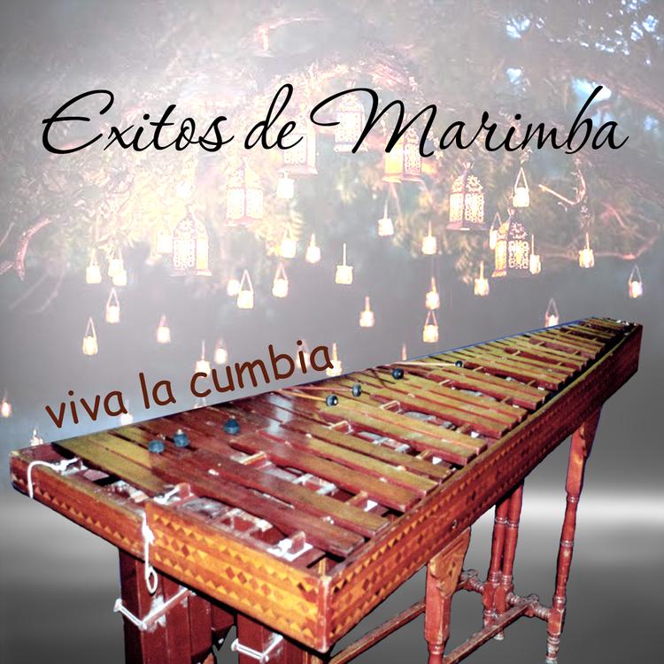 Éxitos de Marimba's avatar image