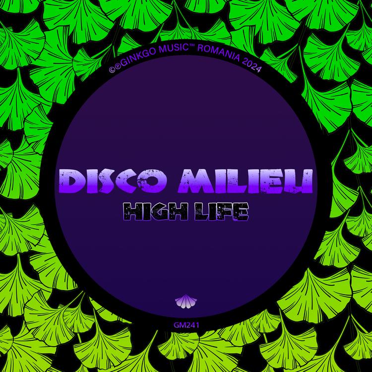 Disco Milieu's avatar image