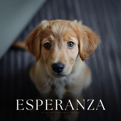 Hora de la Música del Perro's cover