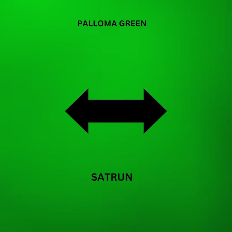 Satrun's avatar image