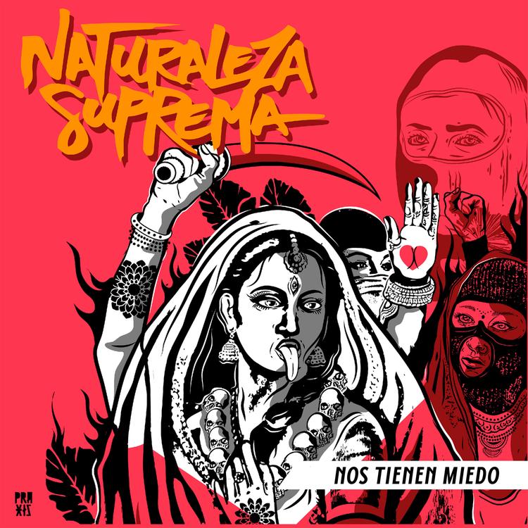 Naturaleza Suprema's avatar image