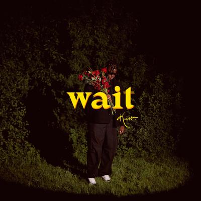 Wait's cover