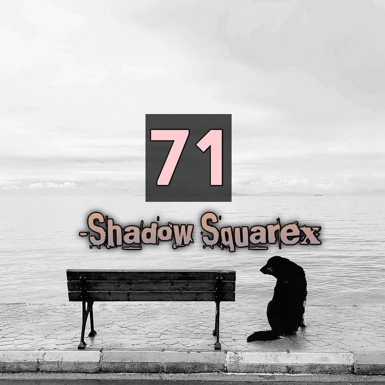 Shadow Squarex's avatar image