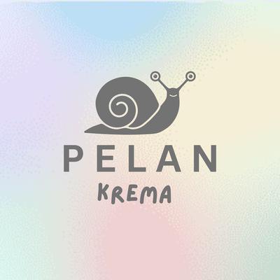 Pelan's cover