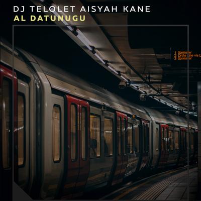 Dj Telolet Aisyah Kane's cover