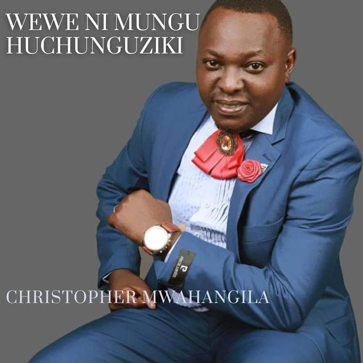 Christopher Mwahangila's avatar image