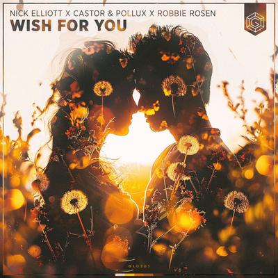 Wish For You By Nick Elliott, Castor & Pollux, Robbie Rosen's cover