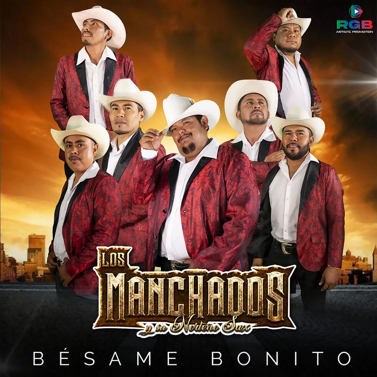 Los Manchados y Su Norteño Sax's avatar image