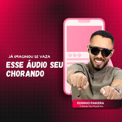 Já Imaginou Se Vaza Esse Áudio Seu Chorando's cover