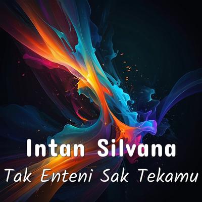 Tak Enteni Sak Tekamu's cover