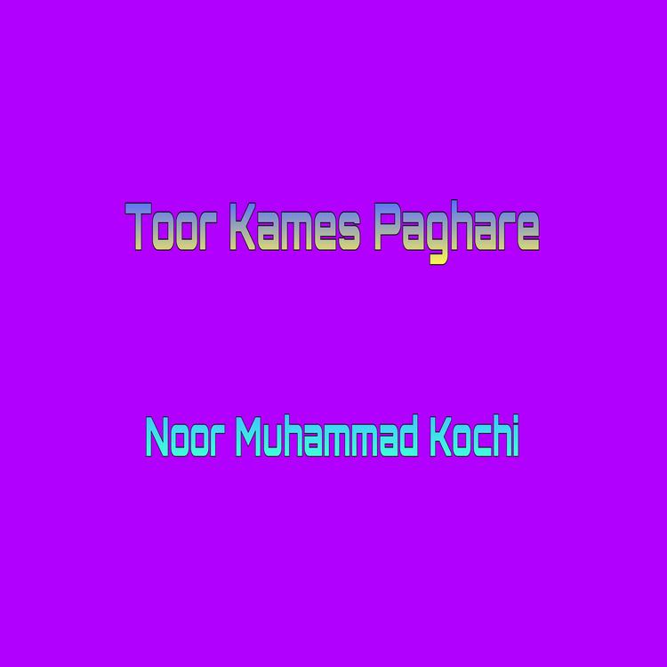 Noor Muhammad Kochi's avatar image