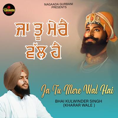 Ja Tu Mere Wal Hai's cover