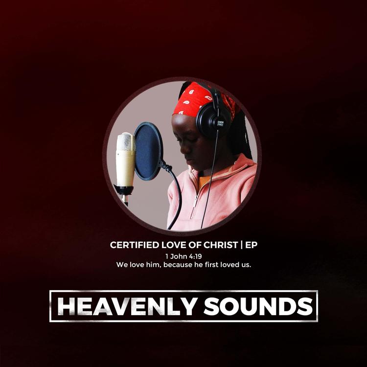 Heavenly Sounds SA's avatar image
