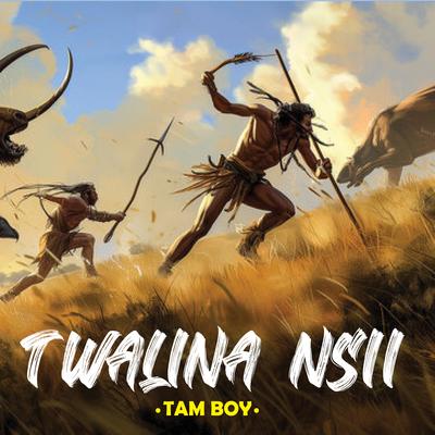 TAM BOY's cover