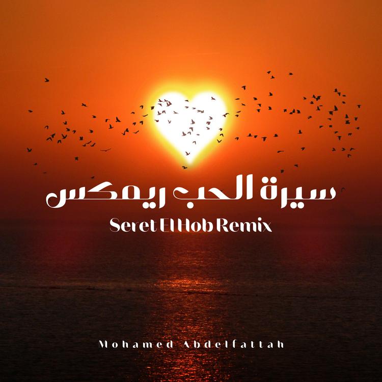 Mohamed Abdelfattah's avatar image