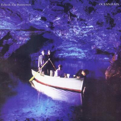 Nocturnal Me By Echo & the Bunnymen's cover