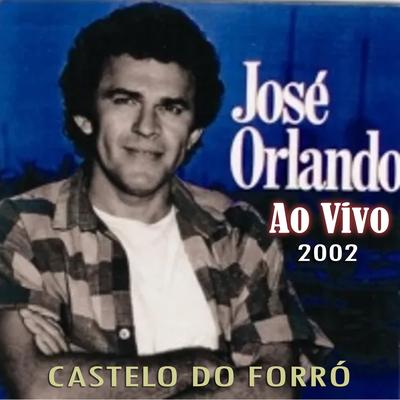 No Castelo do Forró Ao Vivo - 2002's cover