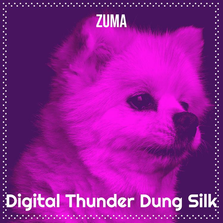 Digital Thunder Dung Silk's avatar image