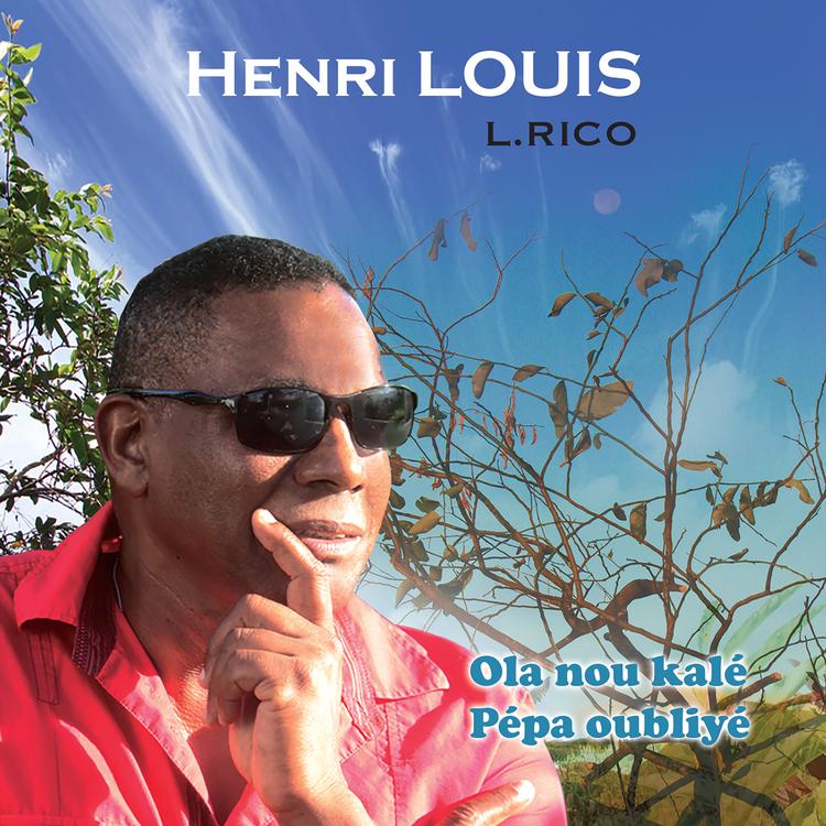 Henri Louis's avatar image