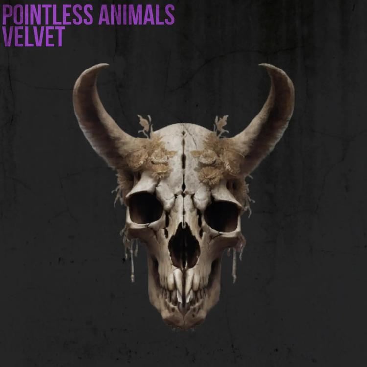 Pointless Animals's avatar image