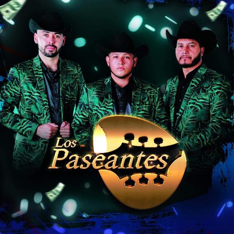 Los Paseantes's avatar image