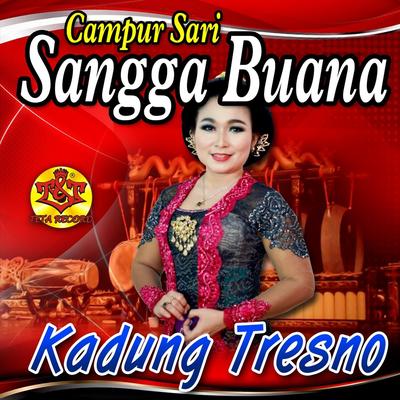 Campursari Sangga Buana's cover