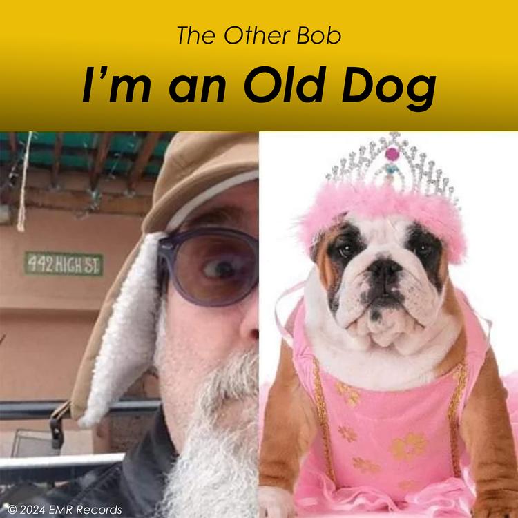 The Other Bob's avatar image