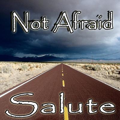 Not Afraid (Eminem Salute)'s cover