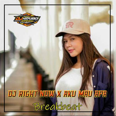 DJ NOW X AKU MAU APA (INS)'s cover