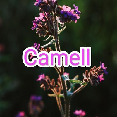 Luruh Cintaku By Camell's cover