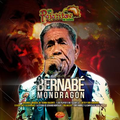 Tributo a Bernabé Mondragón's cover