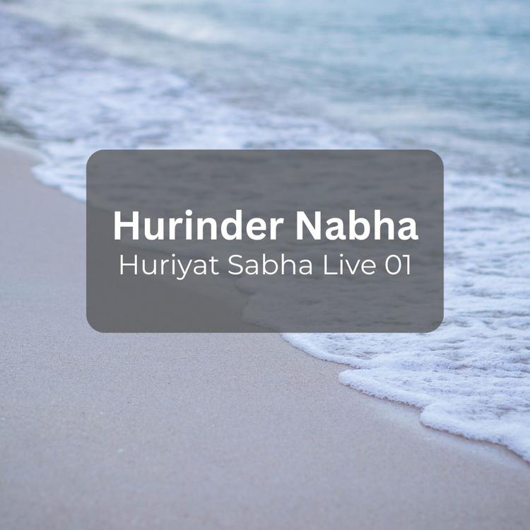 Hurinder Nabha's avatar image