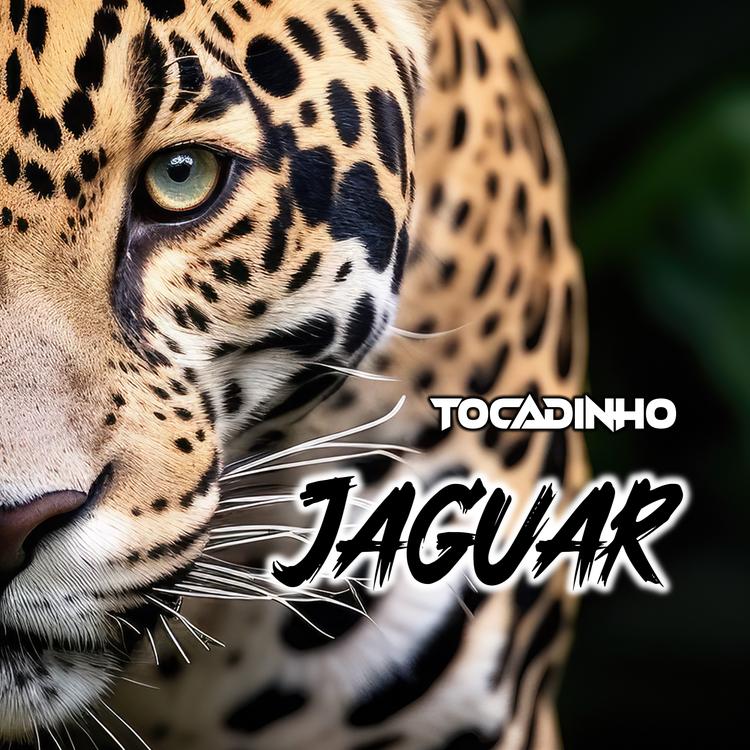Tocadinho's avatar image