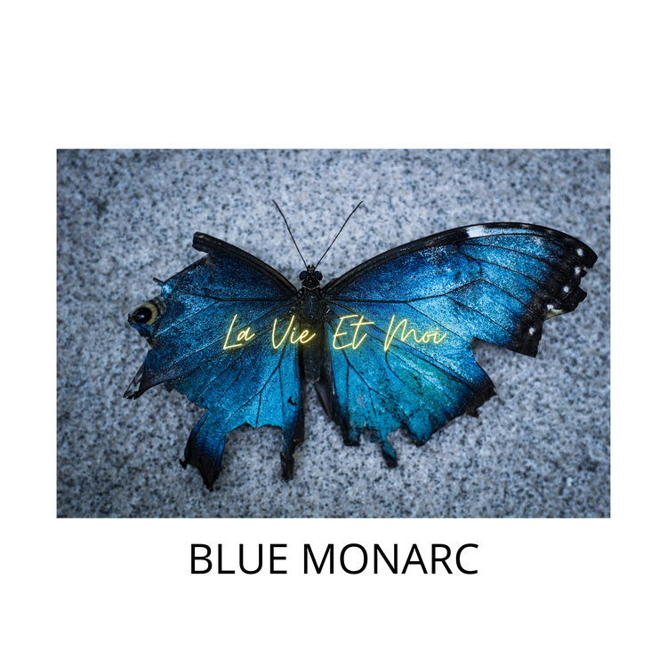 BLUE MONARC's avatar image