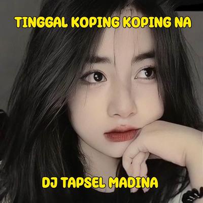 Dj Tapsel Tinggal Koping Koping Na(ins)'s cover