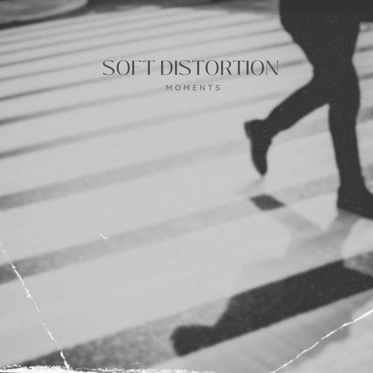 Soft Distortion's avatar image