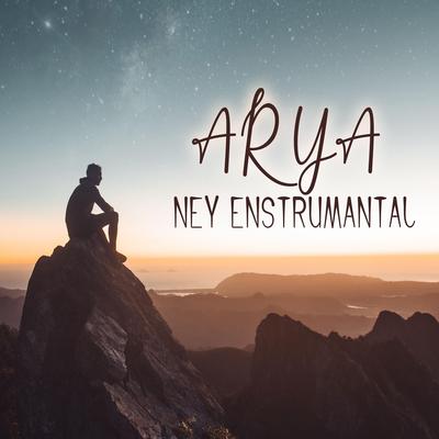 Arya (Ney Enstrümantal)'s cover