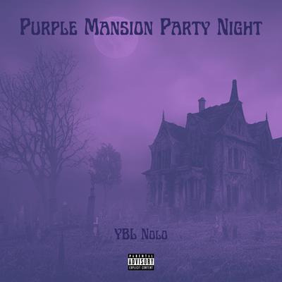 Purple Mansion Party Night's cover