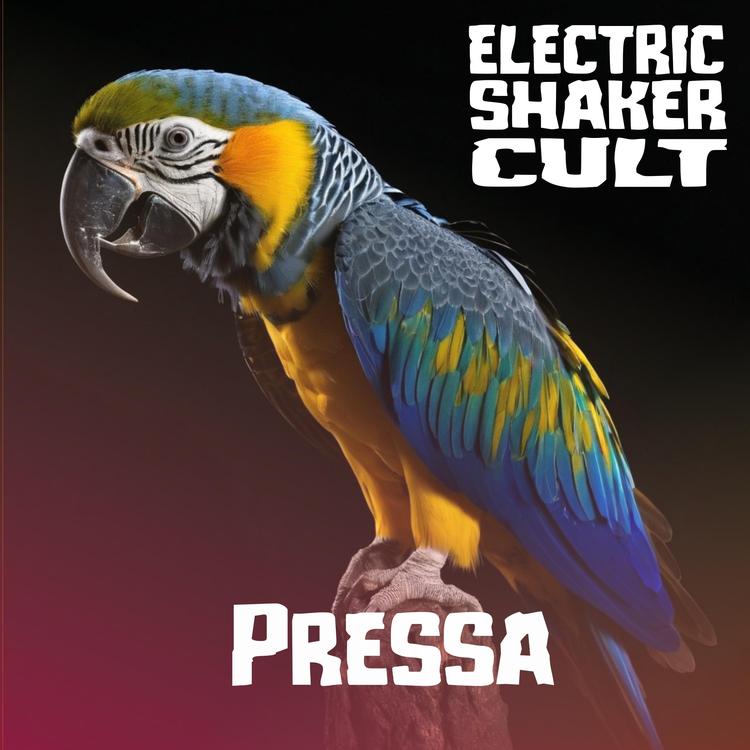 Electric Shaker Cult's avatar image