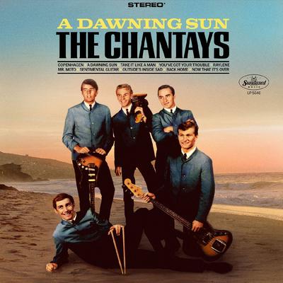 Pipeline By The Chantays's cover