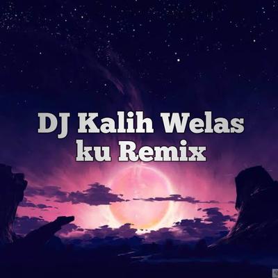 DJ Kalih Welas Ku Remix's cover