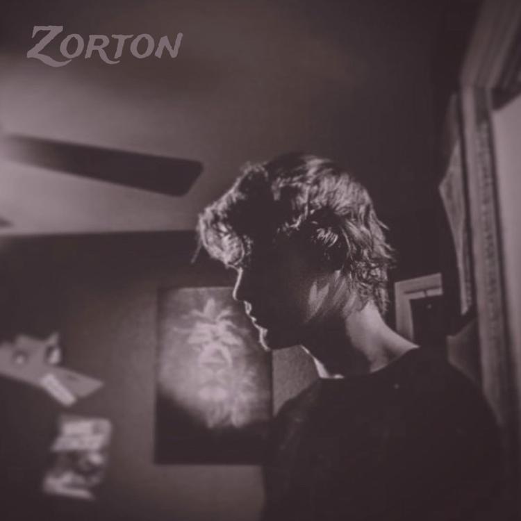 Zorton's avatar image