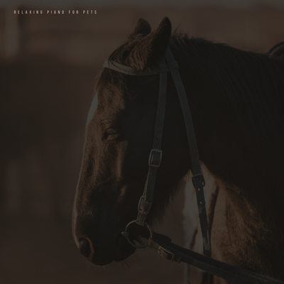 Horse Company's cover