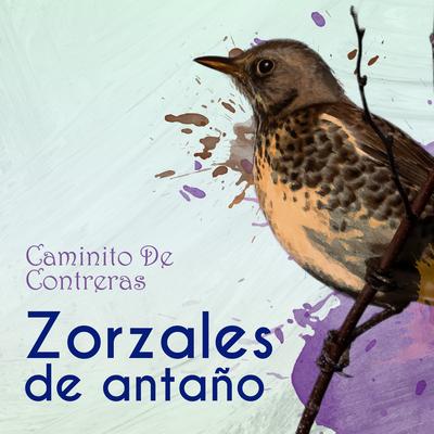 Corrido De Sonora's cover