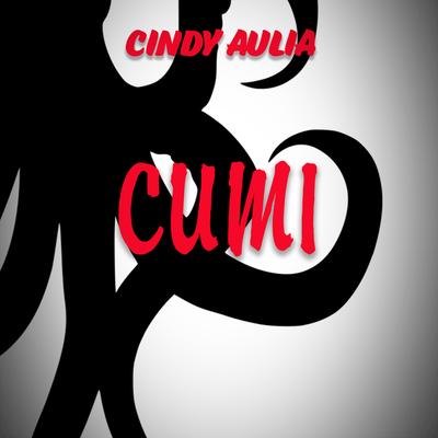 Cumi's cover