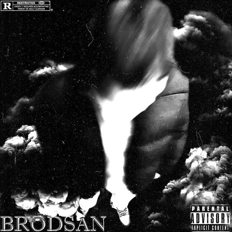 BRODSAN's avatar image